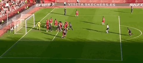 1673798283524006844.gif IMG_5431.gif